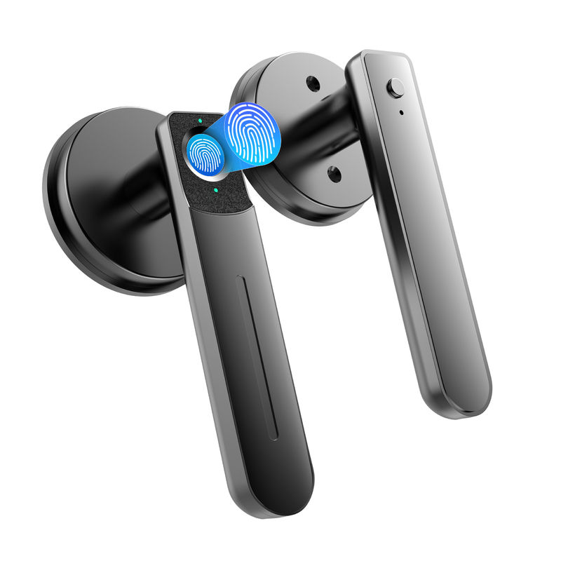 Fingerabdruck Türschloss, Schlüssellose Eintrittsschloss mit Griff, biometrisches Türschloss, 100 Fingerabdrücke Smart Door Lock Knob