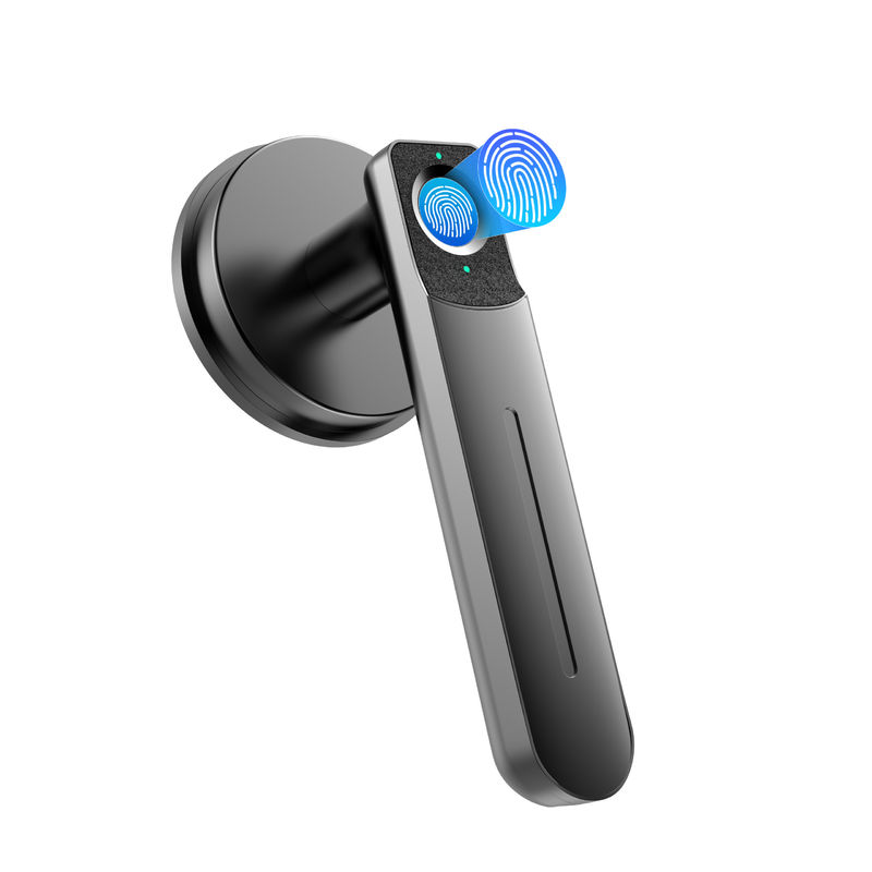 Biometrisches Türschloss, Fingerabdruck-Türschloss, Schlüssellose Eintrittsschloss mit Griff, 100 Fingerabdrücke Smart Door Lock
