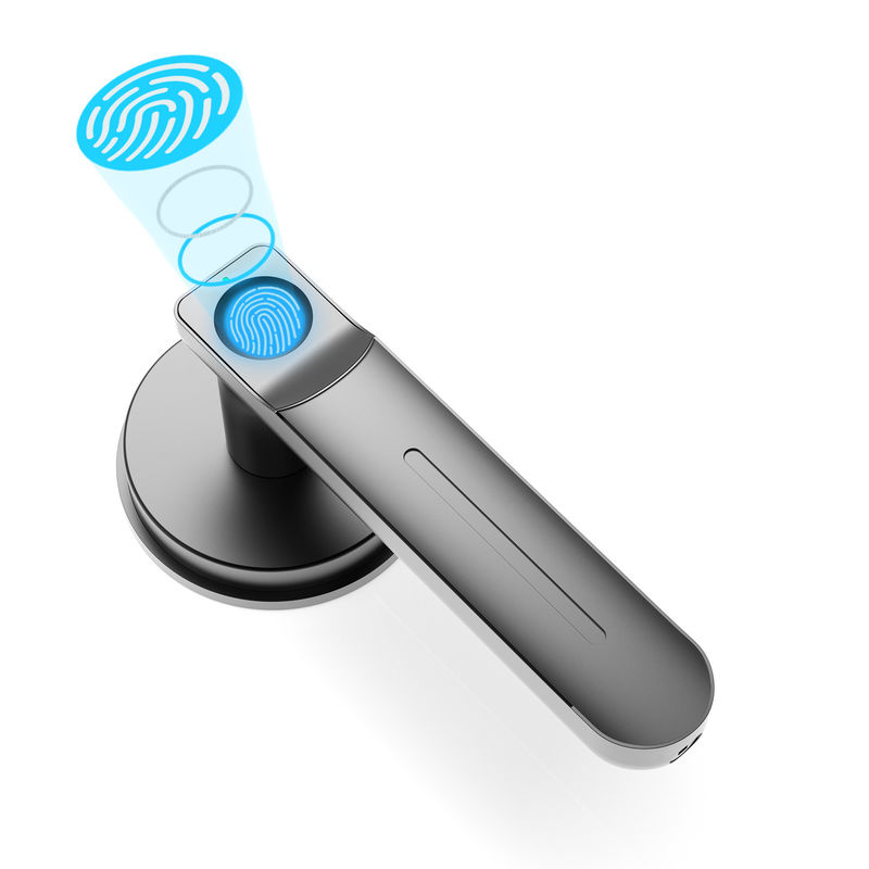 D01 Smart Keyless Entry Door Lock mit Griff, Fingerabdruck Türschloss für Zimmer/Büro/Aparatment