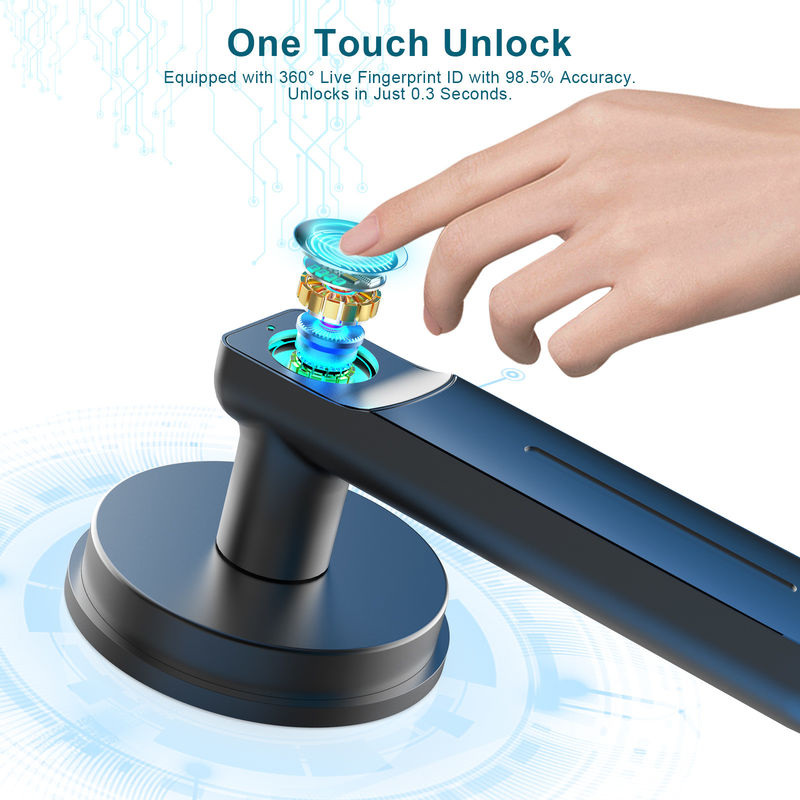 D01 Smart Keyless Entry Door Lock mit Griff, Fingerabdruck Türschloss für Zimmer/Büro/Aparatment