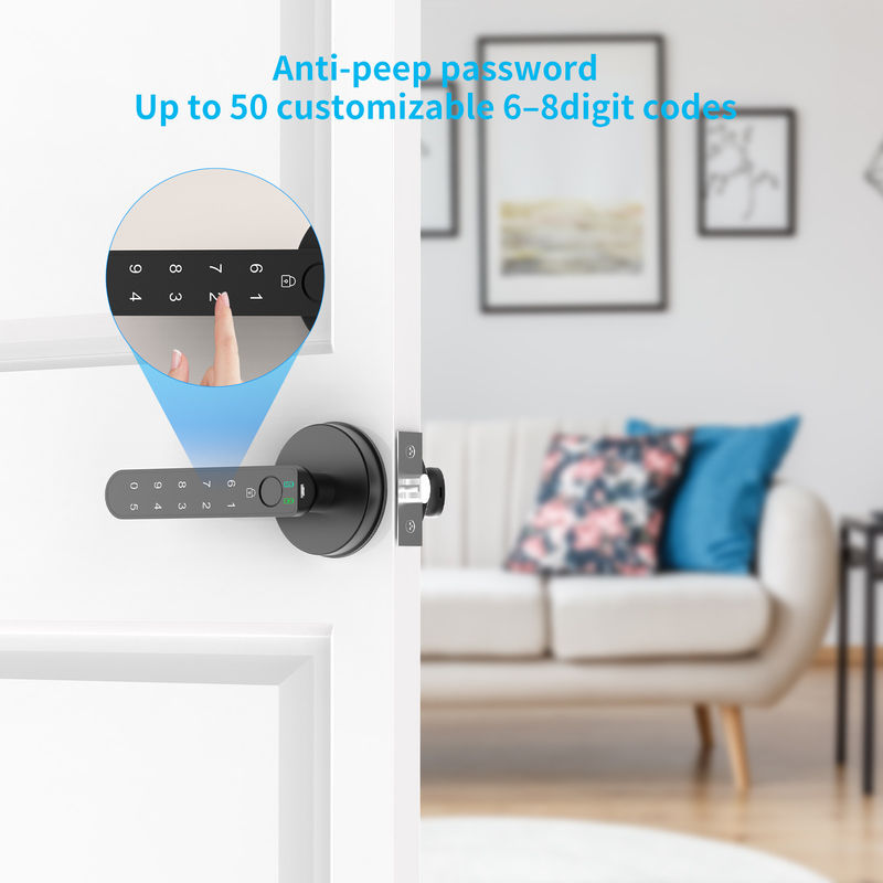 Smart Fingerprint Türschloss mit Tastaturen, C02, Griff, Passwörter, Fingerabdruck, Schlüssellose Eintrittstürschloss für Zuhause