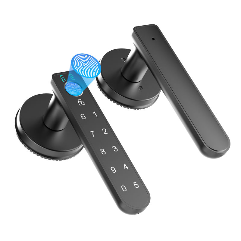 Smart Passwörter, C02 Fingerabdruck Türschloss mit Tastaturen, Fingerabdruck Türknopf Schlüssellose Eingang Türschloss für Zuhause / Büro